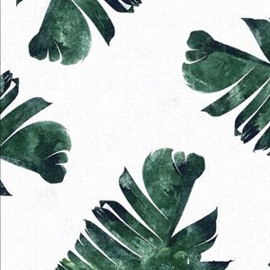 Meet your Posher, Louisa